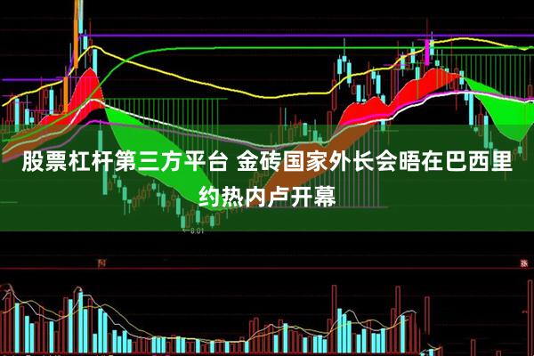 股票杠杆第三方平台 金砖国家外长会晤在巴西里约热内卢开幕