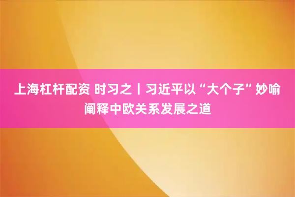 上海杠杆配资 时习之丨习近平以“大个子”妙喻阐释中欧关系发展之道