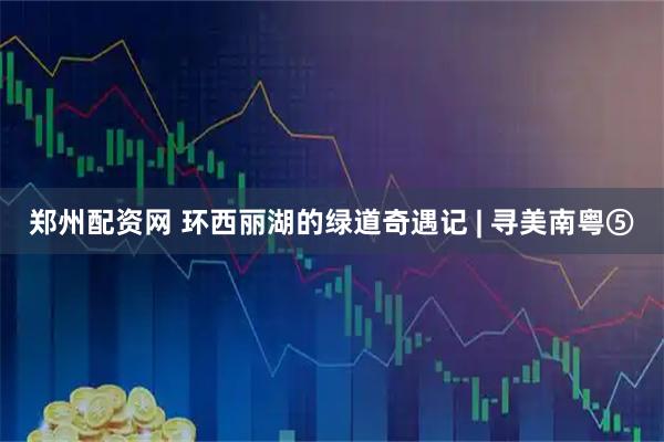 郑州配资网 环西丽湖的绿道奇遇记 | 寻美南粤⑤